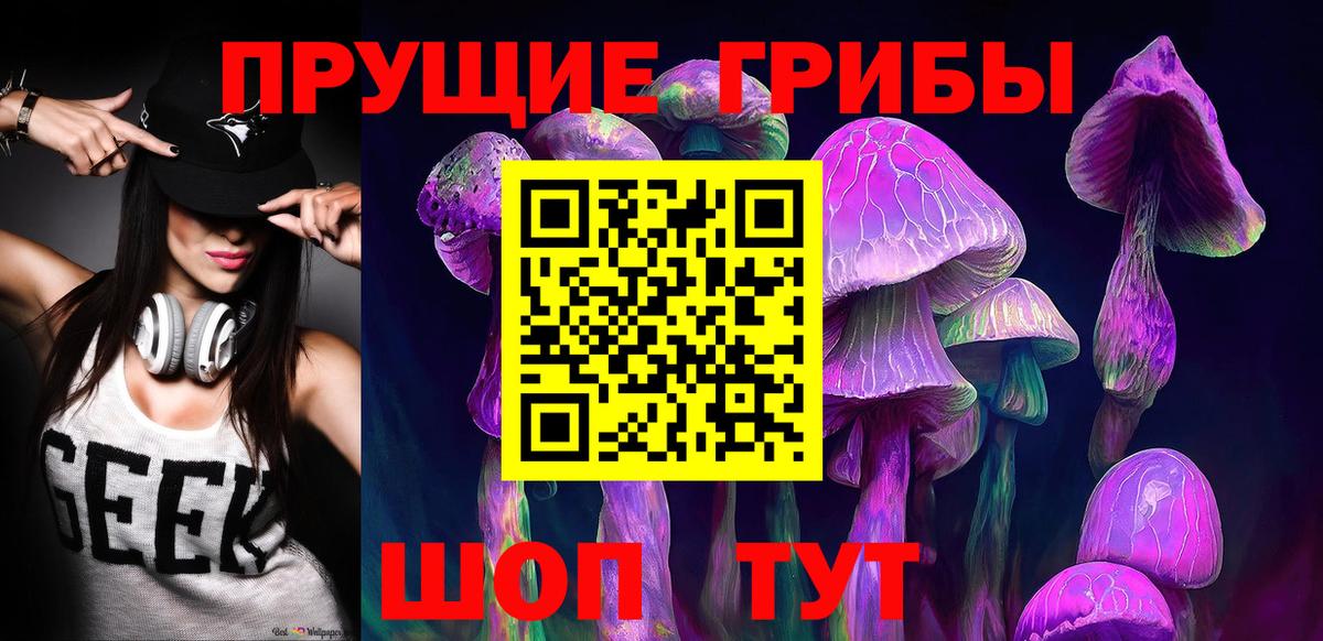 Псилоцибиновые грибы Psilocybine cubensis Киржач