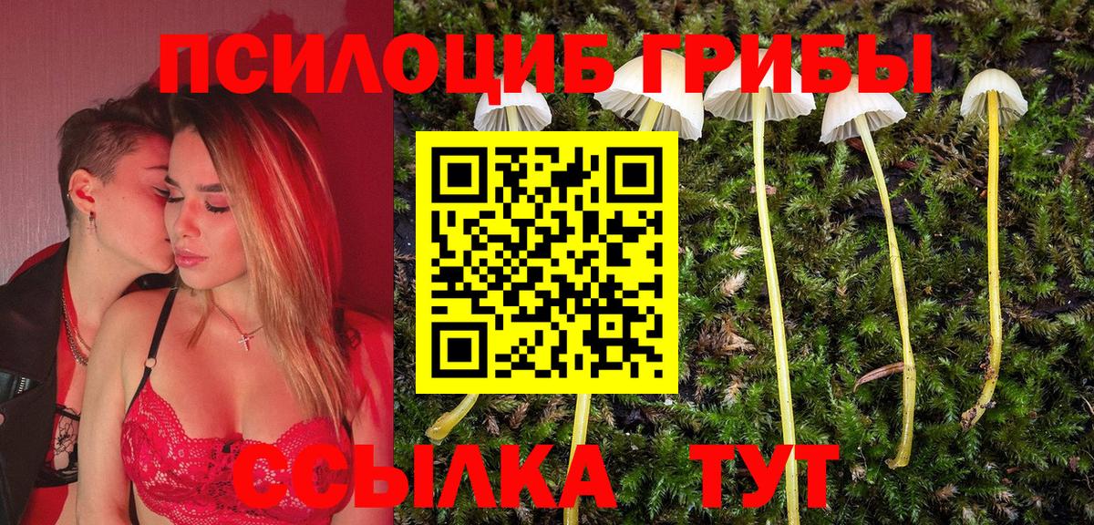Галлюциногенные грибы Psilocybine cubensis  наркошоп  Псилоцибиновые грибы мицелий  Киржач  Вход с VPN 